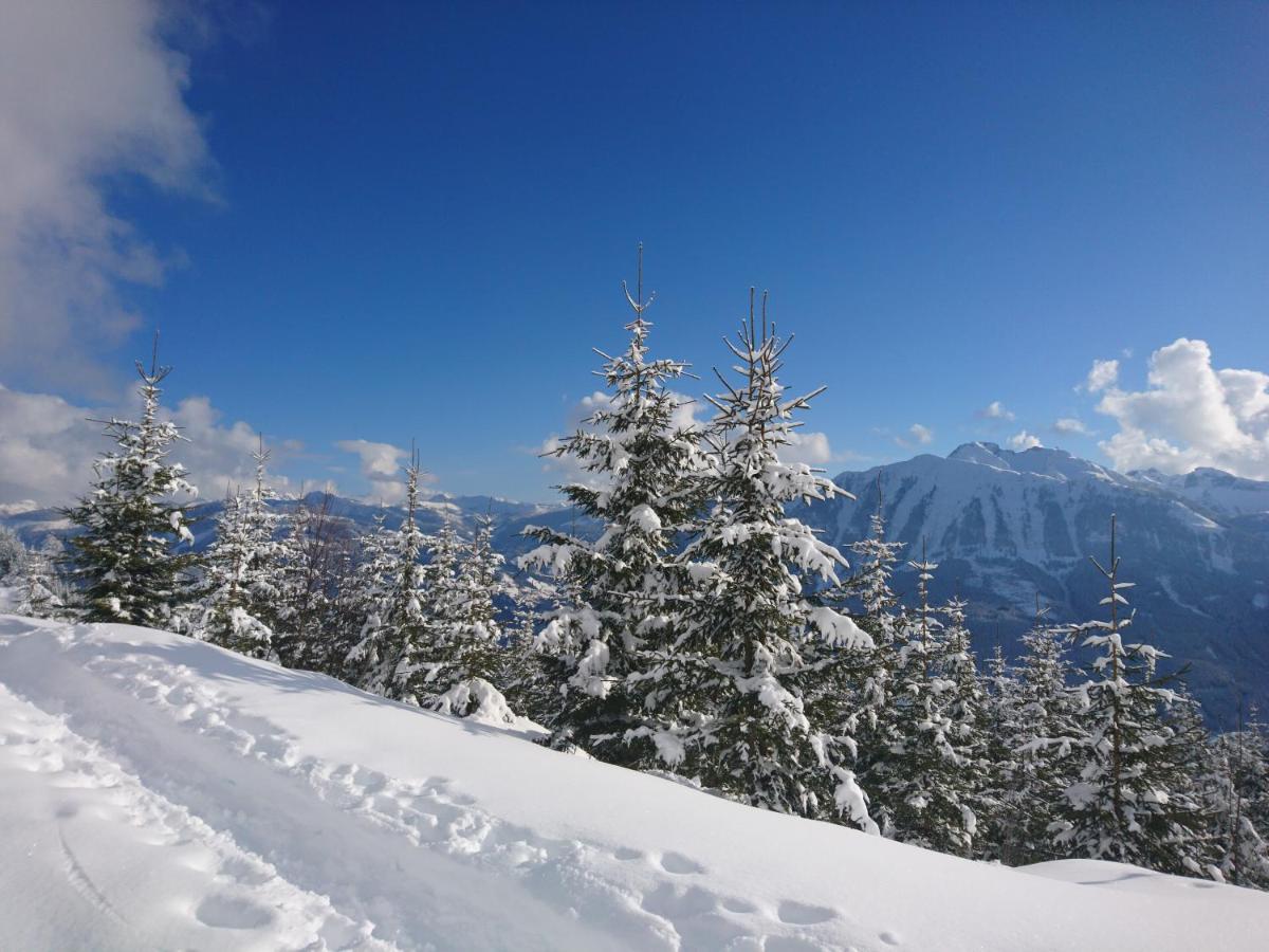 Weidinghof Lägenhet Sankt Veit im Pongau Exteriör bild
