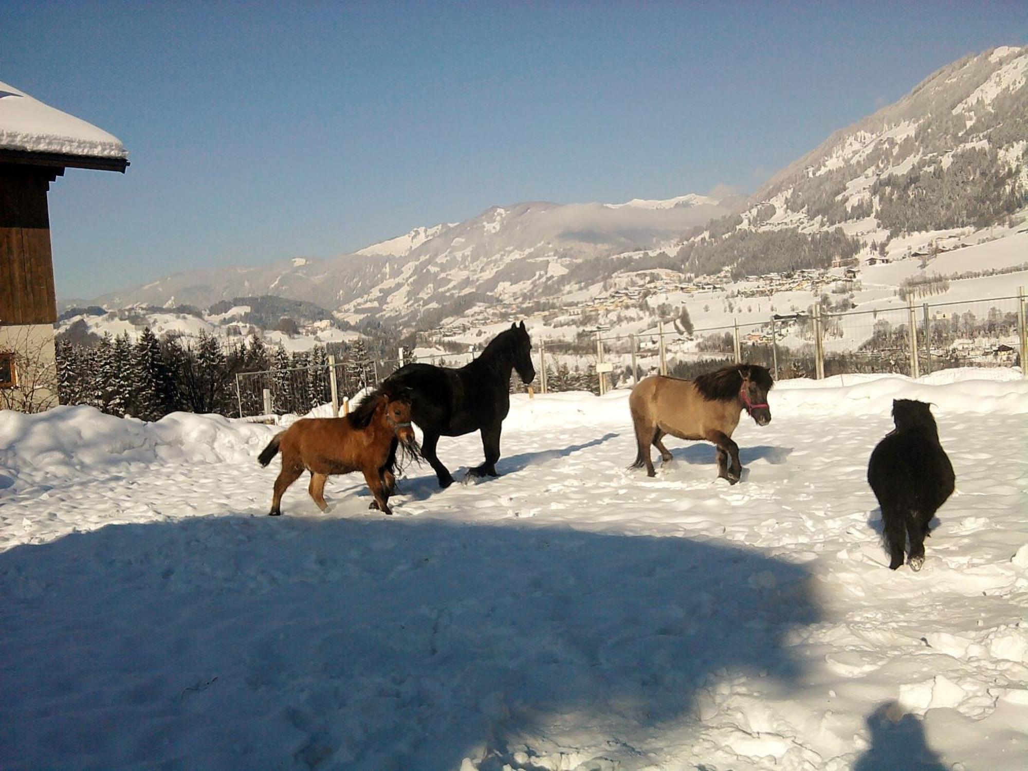 Weidinghof Lägenhet Sankt Veit im Pongau Exteriör bild